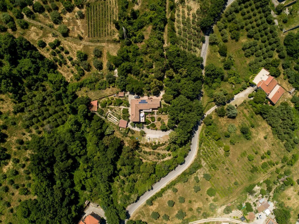 B&B Albachiara Casa Di Campagna Ogliastro Cilento Exterior photo