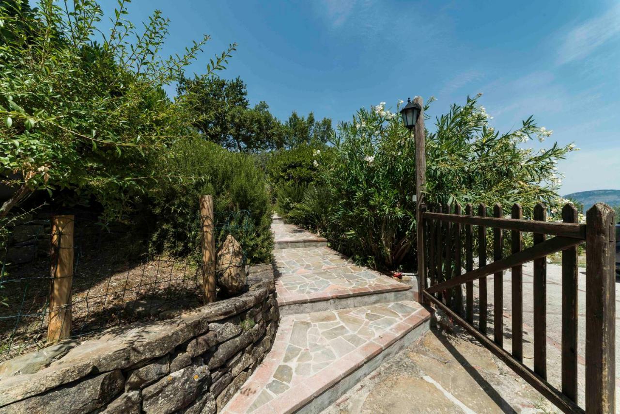 B&B Albachiara Casa Di Campagna Ogliastro Cilento Exterior photo