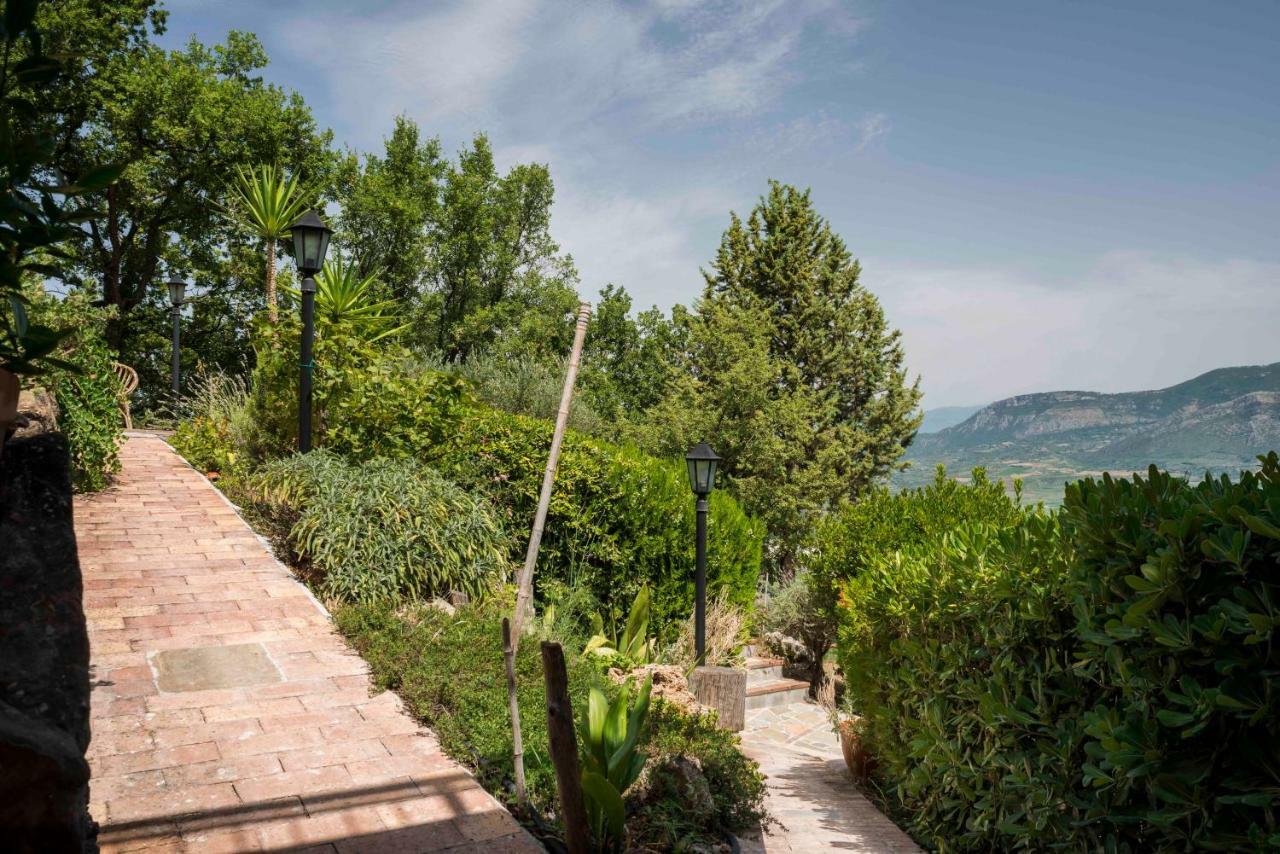 B&B Albachiara Casa Di Campagna Ogliastro Cilento Exterior photo